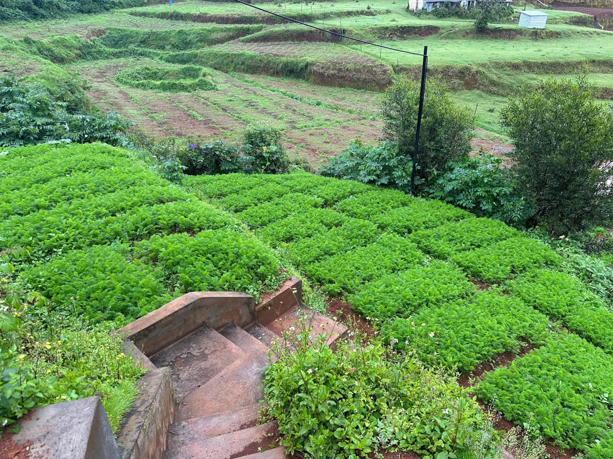 Kanjira House Ooty Eksteriør bilde